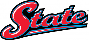Delaware State Hornets 2004-Pres Wordmark Logo Iron On Transfer