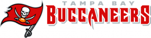 Tampa Bay Buccaneers 2014-Pres Wordmark Logo 10 Iron On Transfer