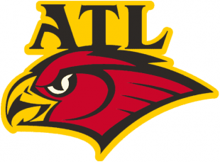 Atlanta Hawks 1998-2007 Alternate Logo Print Decal