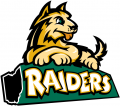 Wright State Raiders 2001-Pres Misc Logo 01 Print Decal