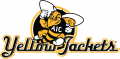 AIC Yellow Jackets 2009-Pres Alternate Logo 05 Iron On Transfer