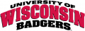 Wisconsin Badgers 2002-Pres Wordmark Logo Print Decal