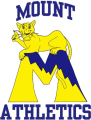 Mount St. Marys Mountaineers 1995-2003 Primary Logo Print Decal
