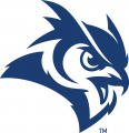 Rice Owls 2017-Pres Secondary Logo Iron On Transfer