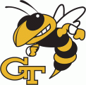 Georgia Tech Yellow Jackets 1991-Pres Primary Logo Print Decal