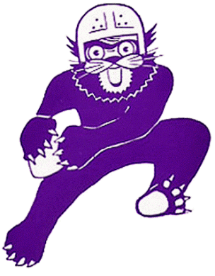 Northwestern Wildcats 1959-1967 Primary Logo Iron On Transfer