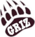 Montana Grizzlies 1996-Pres Alternate Logo 01 Iron On Transfer