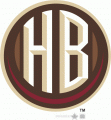 Hershey Bears 2012-Pres Alternate Logo 4 Iron On Transfer