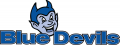 Central Connecticut Blue Devils 1994-2010 Alternate Logo Iron On Transfer