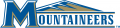 Mount St. Marys Mountaineers 2004-Pres Alternate Logo 02 Print Decal