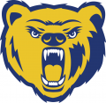 Northern Colorado Bears 2004-2009 Secondary Logo 02 Iron On Transfer