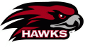 St.JosephsHawks 2001-Pres Alternate Logo Print Decal