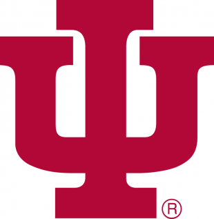 Indiana Hoosiers 1976-1981 Primary Logo Iron On Transfer