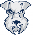 St.Francis Terriers 2001-2013 Alternate Logo Print Decal