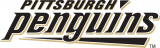 Pittsburgh Penguins 2002 03-2007 08 Wordmark Logo Iron On Transfer