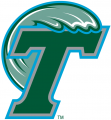 Tulane Green Wave 1998-2013 Primary Logo Print Decal