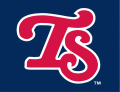 Tennessee Smokies 2007-2014 Cap Logo Print Decal