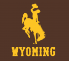 Wyoming Cowboys 2013-Pres Alternate Logo 01 Iron On Transfer