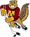 Minnesota Golden Gophers 1986-Pres Mascot Logo 06 Iron On Transfer