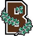 Brown Bears 2003-Pres Alternate Logo Print Decal