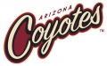 Arizona Coyotes 2014 15 Wordmark Logo Print Decal