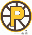 Providence Bruins 2009 10 Alternate Logo Print Decal