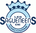 Chicoutimi Sagueneens 1982 83-1999 00 Primary Logo Print Decal