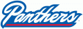 Georgia State Panthers 2009-2013 Wordmark Logo Print Decal
