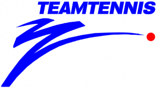 World TeamTennis 1991 Primary Logo Iron On Transfer