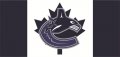 Vancouver Canucks Flag001 logo Print Decal