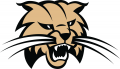Ohio Bobcats 1999-Pres Alternate Logo 01 Iron On Transfer