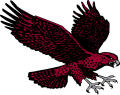 Maryland-Eastern Shore Hawks 2007-Pres Secondary Logo Iron On Transfer