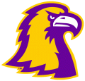 Tennessee Tech Golden Eagles 2006-Pres Alternate Logo 07 Print Decal