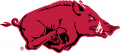 Arkansas Razorbacks 1967-2000 Primary Logo Print Decal
