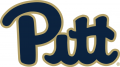 Pittsburgh Panthers 2016-2018 Primary Logo Print Decal