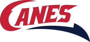 Lethbridge Hurricanes 2013 14-Pres Secondary Logo Iron On Transfer