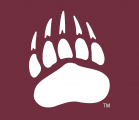 Montana Grizzlies 1996-Pres Alternate Logo 06 Print Decal