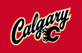 Calgary Flames 2013 14-2015 16 Jersey Logo Iron On Transfer