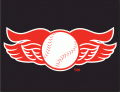 Rochester Red Wings 2008-2013 Cap Logo Iron On Transfer