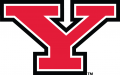 Youngstown State Penguins 2006-Pres Primary Logo Iron On Transfer