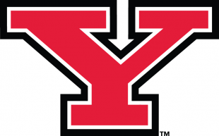 Youngstown State Penguins 2006-Pres Primary Logo Print Decal