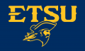 ETSU Buccaneers 2014-Pres Alternate Logo 09 Print Decal
