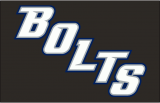 Tampa Bay Lightning 2014 15-2016 17 Jersey Logo Print Decal