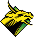 South Florida Bulls 1997-2002 Primary Logo Iron On Transfer