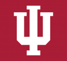 Indiana Hoosiers 2002-Pres Alternate Logo 01 Iron On Transfer