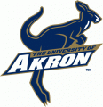 Akron Zips 2002-2007 Alternate Logo Print Decal