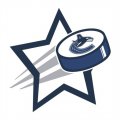 Vancouver Canucks Hockey Goal Star logo Print Decal