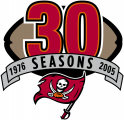 Tampa Bay Buccaneers 2005 Anniversary Logo Iron On Transfer