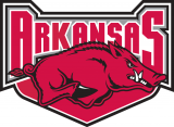 Arkansas Razorbacks 2001-2008 Alternate Logo Print Decal