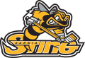 Sarnia Sting 1999 00-2013 14 Primary Logo Iron On Transfer